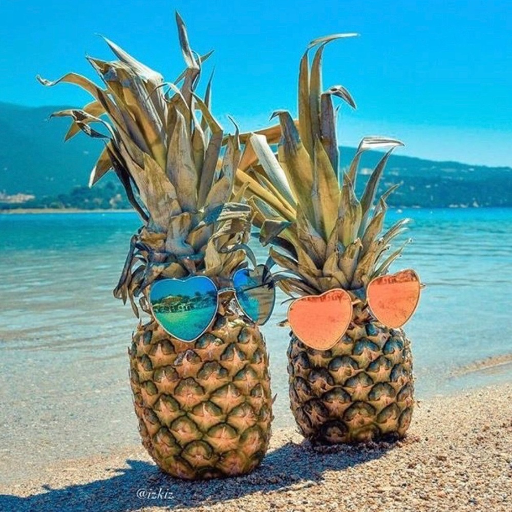 Meet your Posher, Vicki